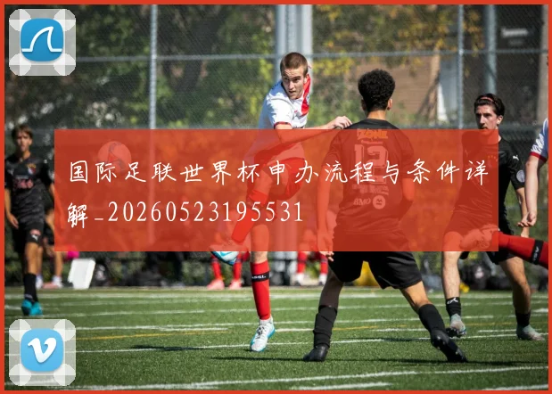 国际足联世界杯申办流程与条件详解_20260523195531