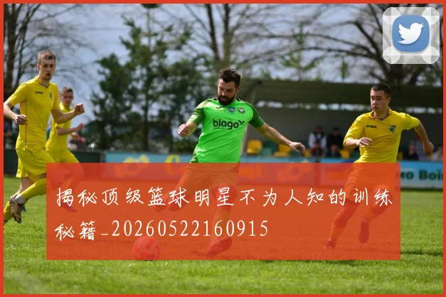 揭秘顶级篮球明星不为人知的训练秘籍_20260522160915